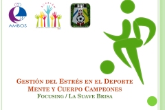 Gestión del Estrés Deportivo. Mente y Cuerpo Campeones. Actividad de Aprendizaje Experiencial: Focusing / La Suave Brisa