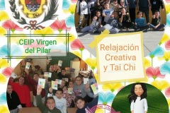 008 CEIP Virgen del Pilar