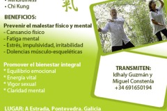 RelajacinIntegral ChiKung8 09