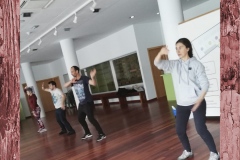 2020 02 29 taichikung GA4e