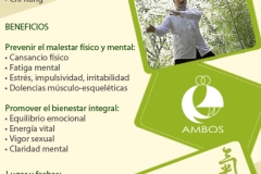 ChiKung 4Elefantes 011