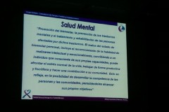 Salud Mental 05
