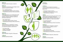 TRIPTICO 2