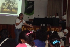 Baruta 04