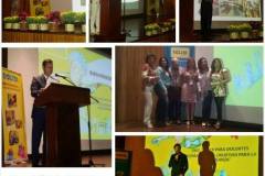 7 Taller Docentes Solita 07