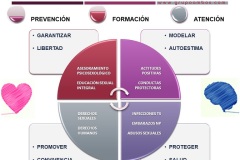 018 AMBOS DMSS_2021