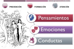 019 AMBOS DMSS_2021