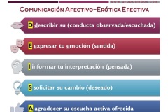 021 AMBOS DMSS_2021